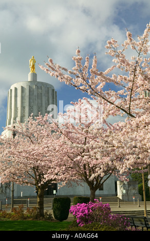 Golden Pioneer statue and cherry Blossoms at Oregon State Capitol Salem OR Stock Photo