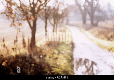 Defocussed tree lined country lane with puddles in late autumn or early winter Stock Photo