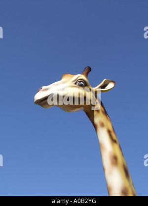 model giraffe's head and blue sky Stock Photo