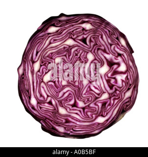 Cabbage Stock Photo