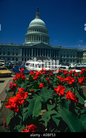 Spring Time Dc Background Springtime at the US Capitol building - Washington, DC USA Stock Photo ...