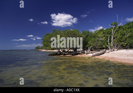 Beach at Jewel Key, Ten Thousand Islands area, Everglades Nat Park, Florida, USA Stock Photo