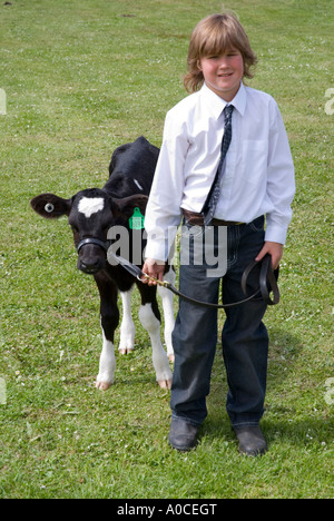 Young boy showing a calf in competition at an agricultural show in Southern Tasmania Stock Photo