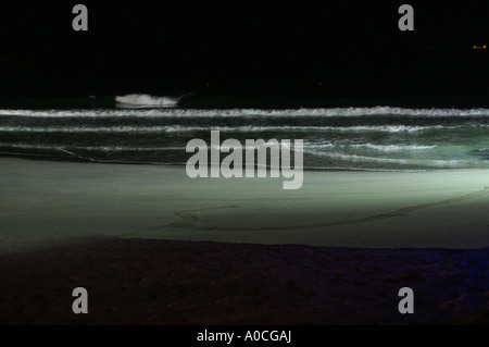 Jumeira beach floodlit in blue at night Dubai Stock Photo