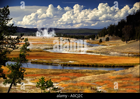 Fly fisherman on Firehole River with fall color Yellowstone National Park Wyoming Stock Photo