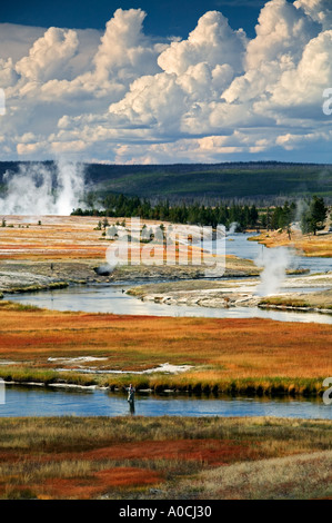 Fly fisherman on Firehole River with fall color Yellowstone National Park Wyoming Stock Photo