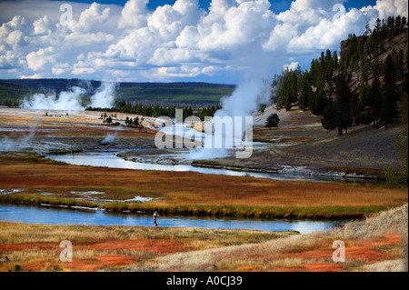 Fly fisherman on Firehole River with fall color Yellowstone National Park Wyoming Stock Photo