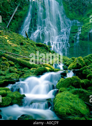 Lower Proxy Falls in spring Three Sisters Wilderness Oregon Stock Photo
