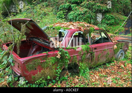 Old Volvo with moss in Siuslaw national Forest Oregon Stock Photo