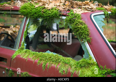 Old Volvo with moss in Siuslaw national Forest Oregon Stock Photo