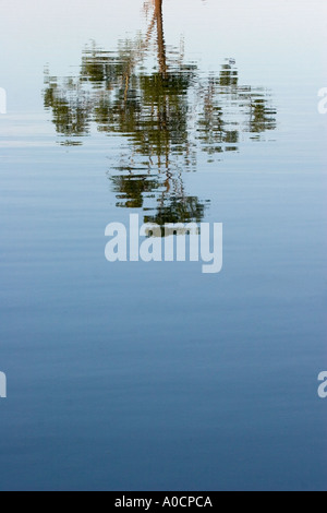 Tree Reflected in Water Pulau Langkawi Malaysia Stock Photo