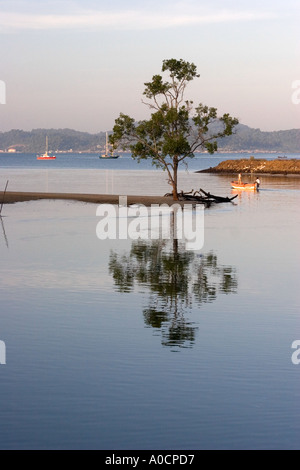 Tree Reflected in Water Pulau Langkawi Malaysia Stock Photo