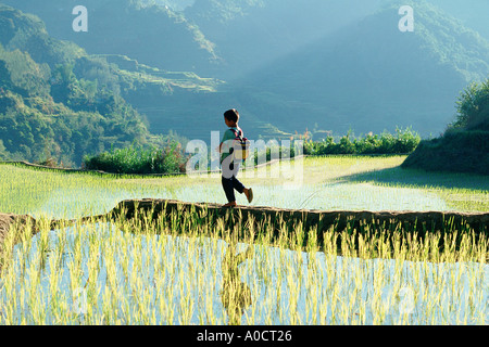 A boy walks along the edge of terraced rice fields on his way to school Banaue Luzon Philippines Stock Photo