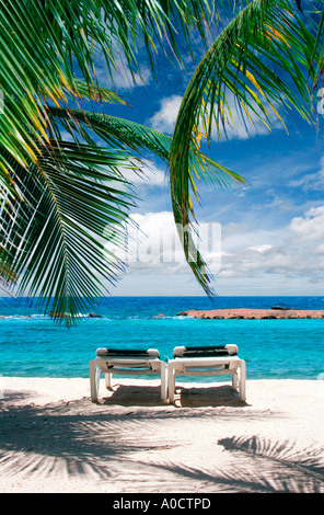 Two beach chairs under palm tree on beach in Curacao