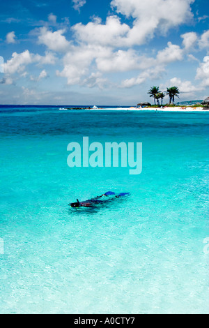 Snorkeling in the cristal clear waters surrounding the island of Curacao Ntherlands Antilles Stock Photo