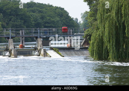 Weir and Salmon Ladder on the River Ure at Boroughbridge North Stock Photo: 115535878 - Alamy