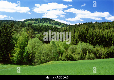 Bavaria Bavarian LOW BAVARIAN LANDSCAPE GERMANY field fields hill hills BAVARIAN FOREST sky clouds wide fertile level green plan Stock Photo