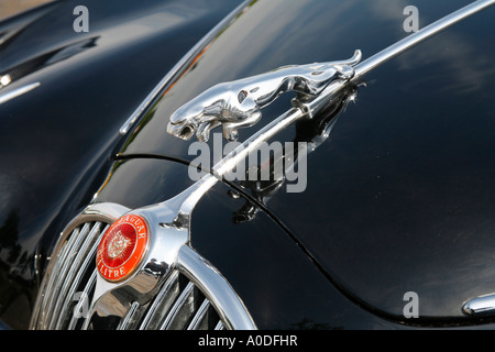 Prancing Cat on the bonnet of a Jaguar Sports Car Stock Photo