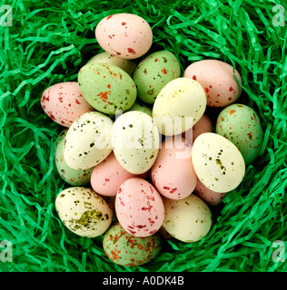 EASTER EGGS IN NEST Stock Photo