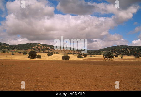 rural landscape near Alcaraz, Albacete Province, Castile-La-Mancha, Spain Stock Photo