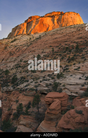 The East Temple Glows with Morning Sunrise, Zion N.P., Utah Stock Photo