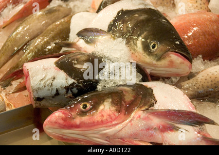 Fish heads ready for the Singapore specialty Fish Head Curry on sale in a food market Singapore s Chinatown Stock Photo