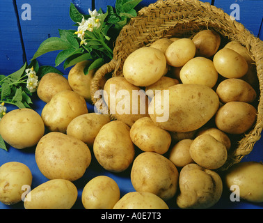 Potatoes Stock Photo