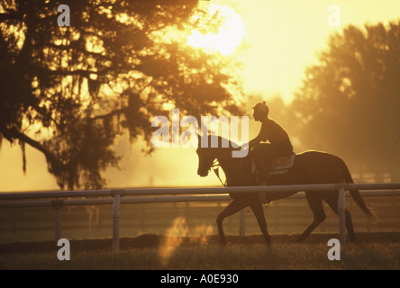 Young Thoroughbred and exercise rider on track for early morning work out Stock Photo