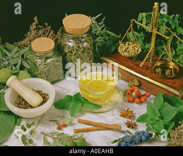 Medicinal herbs Stock Photo