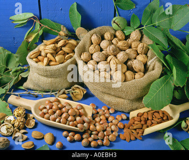 Assorted nuts Stock Photo