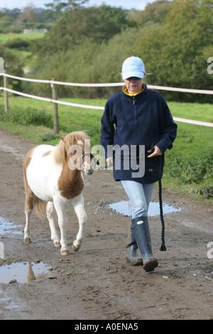 Woman with her miniature horse Stock Photo: 114562266 - Alamy