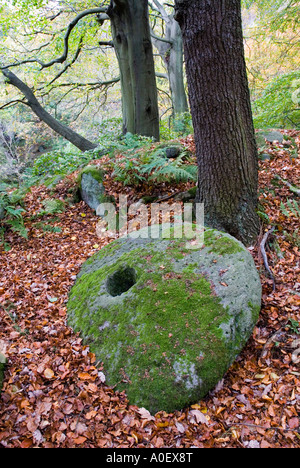 Millstone Padley Gorge Peak District Derbyshire UK Stock Photo