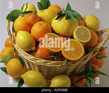 Assorted citrus fruits Stock Photo