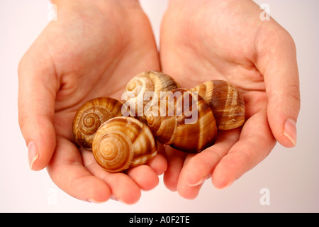 Holding snails Stock Photo