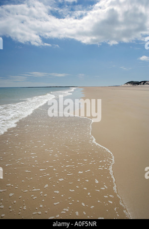 Coastline at Bamburgh Northumberland UK Stock Photo