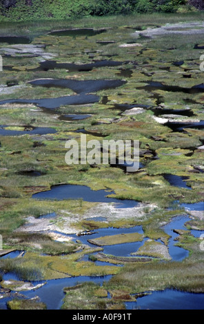 Chile Easter Island a freshwater lake bordered by reeds called tortora ...