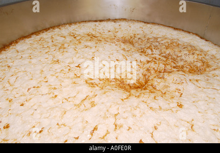 Beer being brewed in the Teme Valley Brewery behind The Talbot Inn at Knightwick Worcestershire England UK Stock Photo