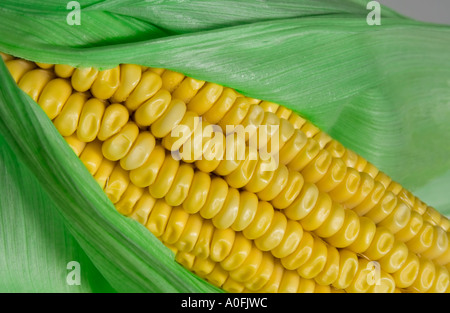 Keep Cholesterol Down with healthy foods. Stock Photo