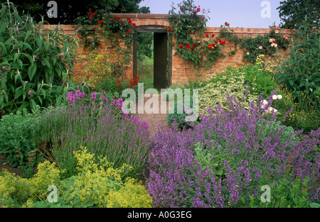 Wollerton Old Hall. Shropshire. View from Lanhyrdrock garden through wooden door in brick walled garden. Lavender. Alchemilla Stock Photo