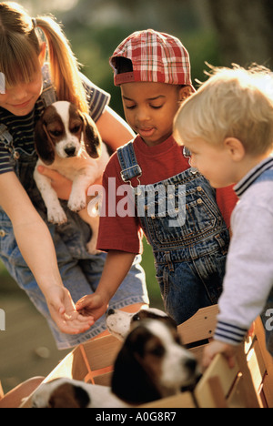 Two boys and a girl playing with puppies Stock Photo