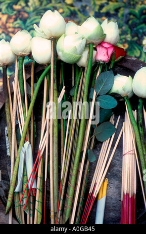 Buddhist offerings; white lotus flowers, red roses, joss sticks and candles at temple, north Thailand Stock Photo