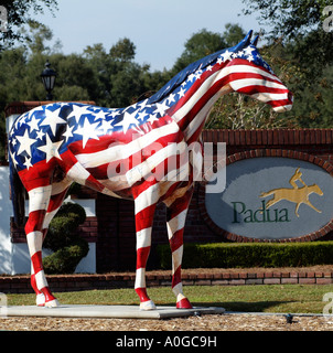 Painted horse at Padua Stables in Ocala Florida USA Stock Photo