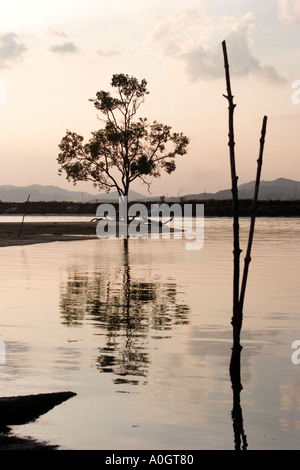 Tree Reflected in Water Pulau Langkawi Malaysia Stock Photo