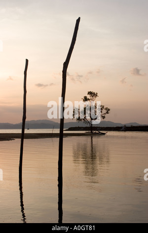 Tree Reflected in Water Pulau Langkawi Malaysia Stock Photo