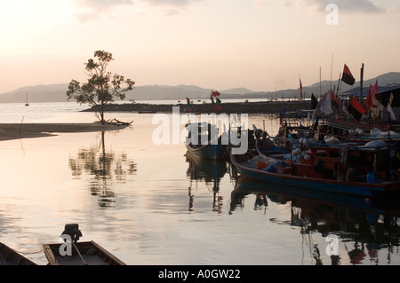 Tree Reflected in Water at Dusk Pulau Langkawi Malaysia Stock Photo