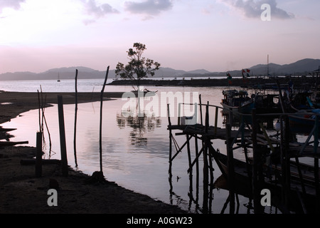 Tree Reflected in Water at Dusk Pulau Langkawi Malaysia Stock Photo