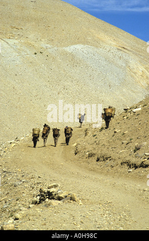 Porters carrying loads up the Kali valley and over the Lipu Lek pass Tibet Stock Photo