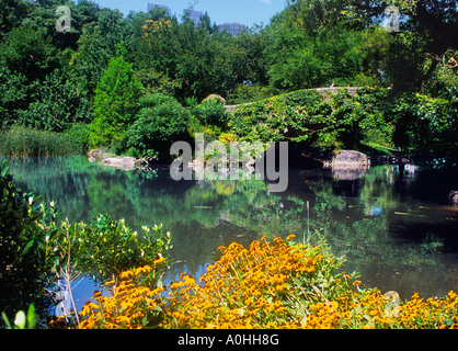 Central Park, Gapstow Bridge and the Pond in autumn with lush green foliage and yellow flowers. Hallett Nature Sanctuary. Fall landscape New York City Stock Photo