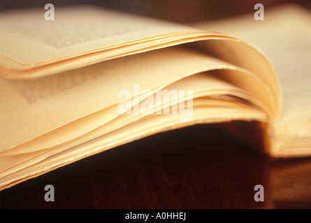 Open book close up. Book on a table low angle view. Pages selective focus. Turning a page and studying literature. Stock Photo