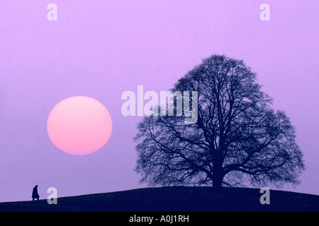 Loneliness Stock Photo